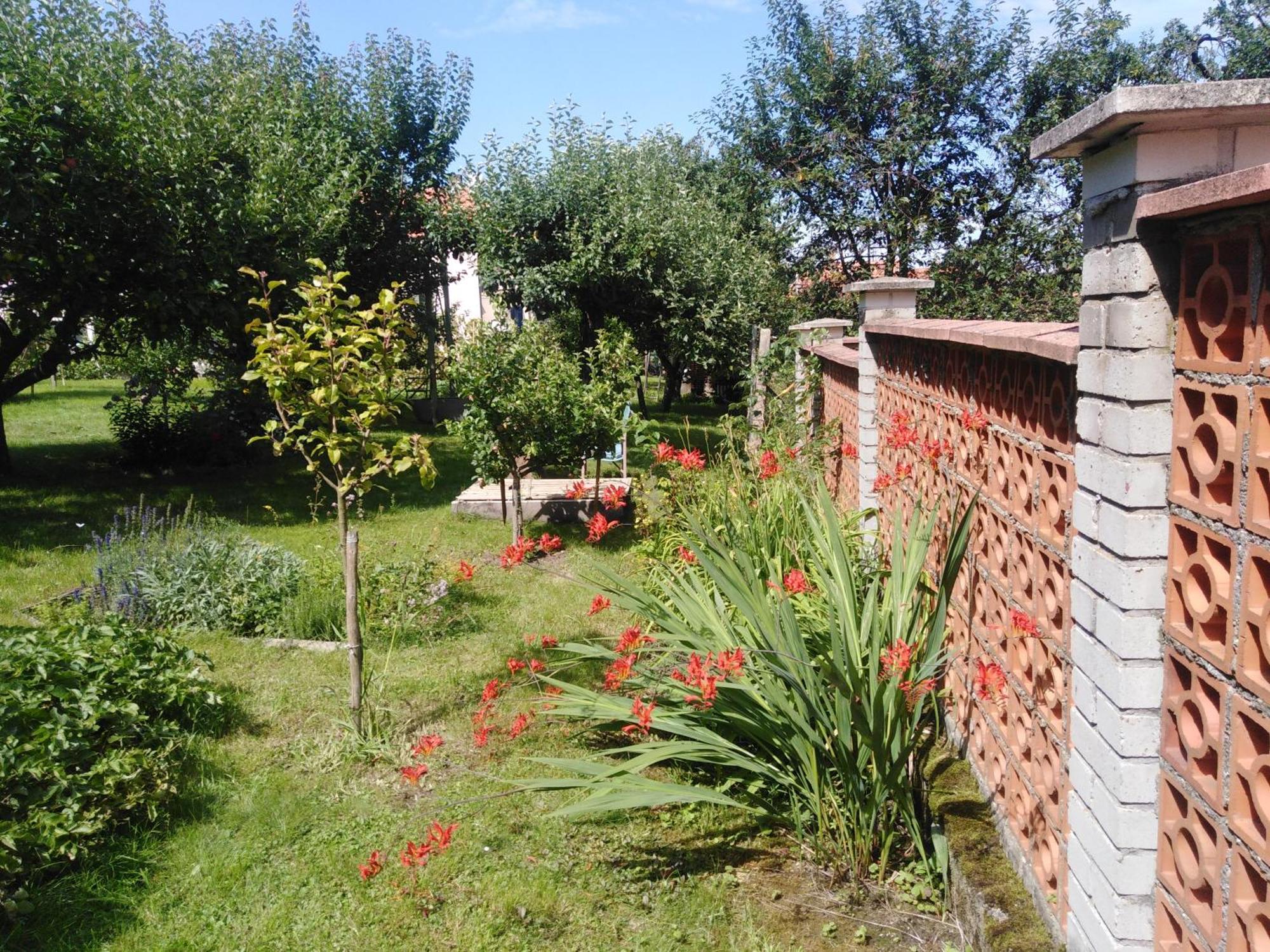 Pacov 501 Daire Dış mekan fotoğraf